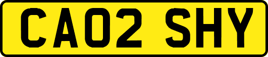 CA02SHY