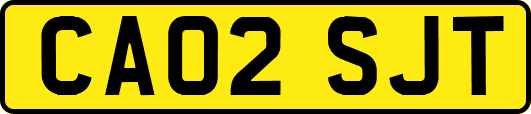 CA02SJT