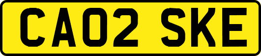CA02SKE