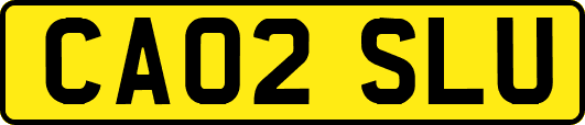 CA02SLU