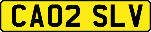 CA02SLV