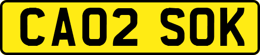 CA02SOK