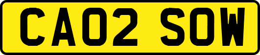 CA02SOW