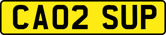 CA02SUP