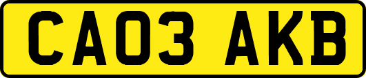 CA03AKB