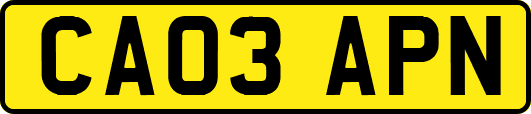 CA03APN