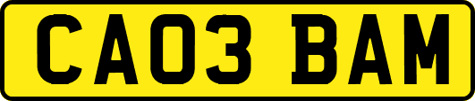 CA03BAM
