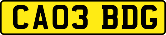CA03BDG