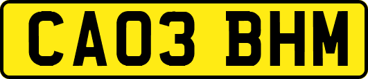 CA03BHM