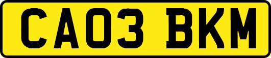CA03BKM