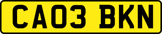 CA03BKN