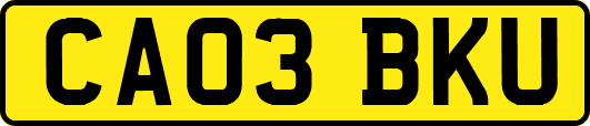 CA03BKU