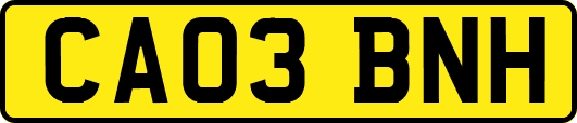 CA03BNH