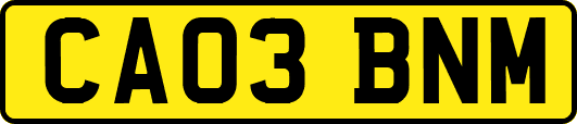CA03BNM