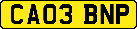 CA03BNP