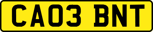 CA03BNT