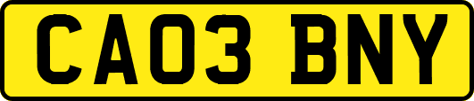 CA03BNY