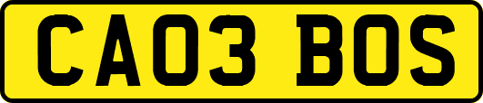 CA03BOS