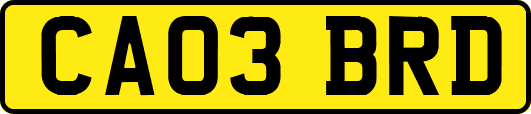 CA03BRD