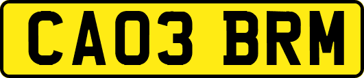 CA03BRM