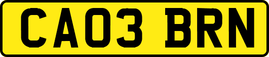 CA03BRN