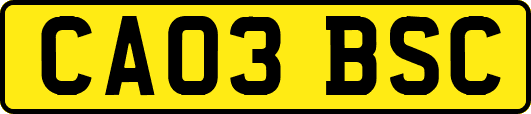 CA03BSC