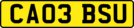 CA03BSU