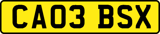 CA03BSX