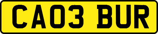 CA03BUR