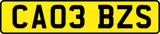 CA03BZS