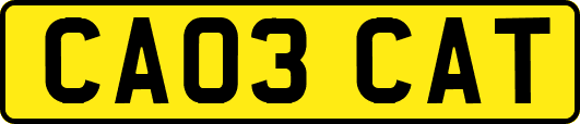 CA03CAT