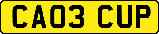 CA03CUP