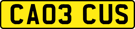 CA03CUS