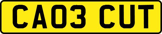 CA03CUT