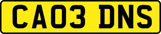 CA03DNS