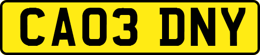 CA03DNY