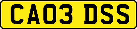 CA03DSS