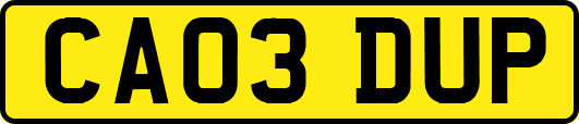 CA03DUP