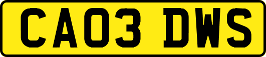 CA03DWS