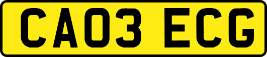 CA03ECG