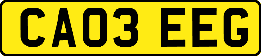 CA03EEG