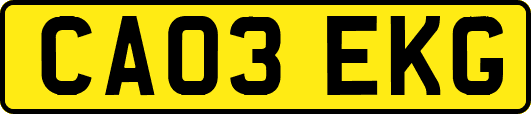 CA03EKG