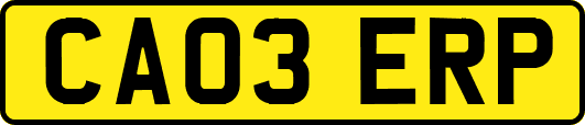 CA03ERP