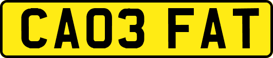 CA03FAT