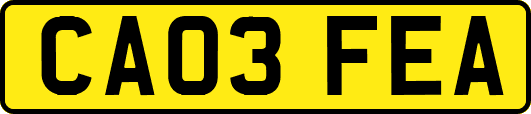 CA03FEA