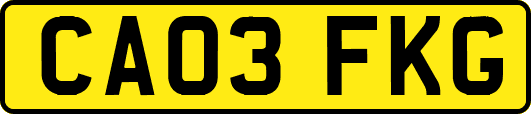 CA03FKG