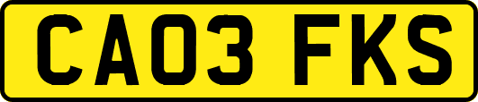 CA03FKS