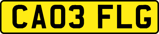 CA03FLG