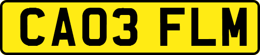 CA03FLM