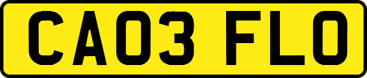 CA03FLO